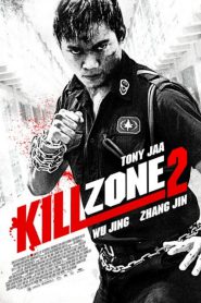 Kill Zone 2 – SPL 2: A Time for Consequences (2015) Hindi/Chinese – Full Movie Download & Watch FREE – MRBOBD.COM