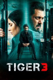 Tiger 3 (2023) Full HD – Full Movie Download & Watch FREE – MRBOBD.COM