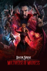 Doctor Strange in the Multiverse of Madness (2022) Hindi/English