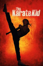 The Karate Kid (2010) Bluray Hindi + English