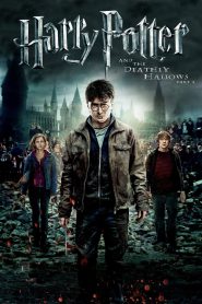 Harry Potter and the Deathly Hallows: Part 2 | Harry Potter 8 (2011) Hindi + English – Full Movie Download & Watch FREE – MRBOBD.COM