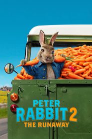 Peter Rabbit 2: The Runaway (2021) Hindi + English – Full Movie Download & Watch