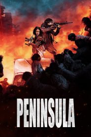 Train To Busan 2: Peninsula (2020) Korean Movie Hindi Dubbed