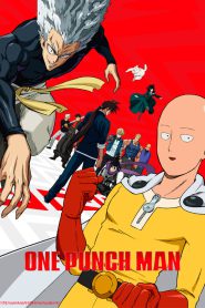 One-Punch Man: Season 1