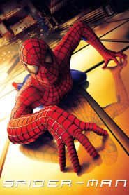 Spider-Man (2002) BluRay Hindi/English