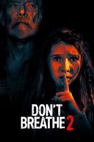 Don’t Breathe 2 (2021) Hindi / English