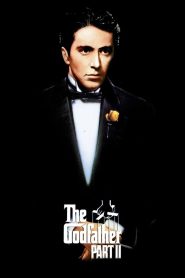 The Godfather Part II (1974) BluRay Dual Audio Hindi – English