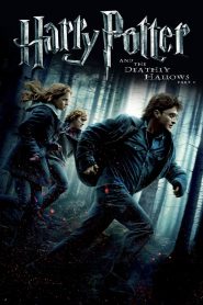 Harry Potter and the Deathly Hallows: Part 1 | Harry Potter 7 (2010) Hindi + English – Full Movie Download & Watch FREE – MRBOBD.COM