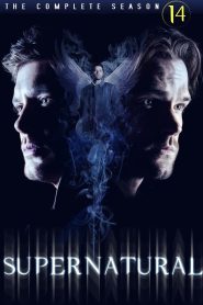 Supernatural: Season 14