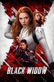 Black Widow (2021) Hindi/English