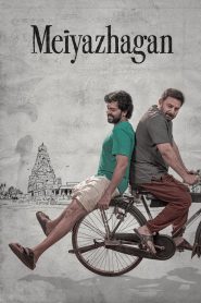 Meiyazhagan (2024) Hindi/Tamil Dual Audio- Full Movie Download & Watch FREE – MRBOBD.COM