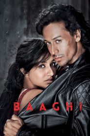 Baaghi (2016) – Full Movie Download & Watch FREE – MRBOBD.COM