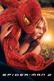 Spider-Man 2 (2004) BluRay Hindi/English