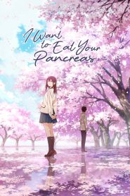 I Want to Eat Your Pancreas (2018) Hindi Dubbed