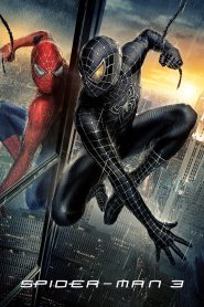 Spider-Man 3 (2007) BluRay Hindi/English