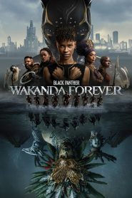 Black Panther: Wakanda Forever (2022) Hindi + English