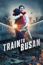 Train To Busan (2016) Korean Movie – Hindi + English