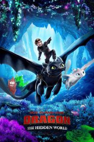 How to Train Your Dragon: The Hidden World (2019) How to Train Your Dragon 3 – HIndi + English