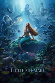 The Little Mermaid (2023) Dual Audio Hindi