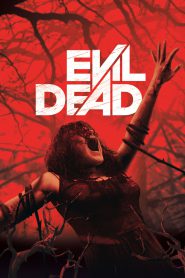 Evil Dead (2013) Dual Audio Hindi + English – Full Movie Download & Watch FREE – MRBOBD.COM