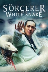 The Sorcerer and the White Snake (2011) BluRay Dual Audio Hindi/English – Full Movie Download & Watch FREE – MRBOBD.COM