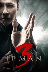 Ip Man 3 (2015) Hindi + Chinese – Full Movie Download & Watch FREE – MRBOBD.COM