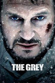 The Grey (2012) – Full Movie Download & Watch FREE – MRBOBD.COM