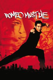 Romeo Must Die (2000) Hindi Dubbed