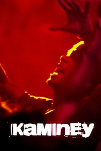 Kaminey – Full Movie Download & Watch FREE – MRBOBD.COM