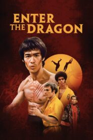 Enter the Dragon (1973) Hindi/English – Full Movie Download & Watch FREE – MRBOBD.COM