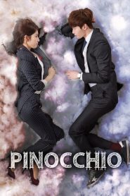 Pinocchio (2014) S01 Complete – Hindi + Korean