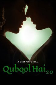 Qubool Hai 2.0 (2021) – Full Series Download & Watch FREE – MRBOBD.COM