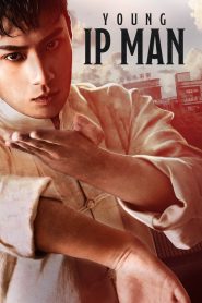 Young Ip Man: Crisis Time (2020) Hindi/Chinese – Full Movie Download & Watch FREE – MRBOBD.COM