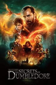 Fantastic Beasts: The Secrets of Dumbledore (2022) Dual Audio Hindi + English – Full Movie Download & Watch FREE – MRBOBD.COM