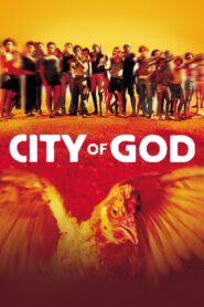 City of God (2002) – Full Movie Download & Watch FREE – MRBOBD.COM