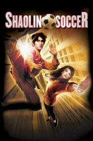 Shaolin Soccer (2001) Dual Audio Hindi Dubbed – Full Movie Download & Watch FREE – MRBOBD.COM