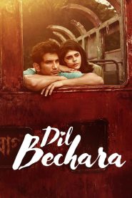 Dil Bechara – Full Movie Download & Watch FREE – MRBOBD.COM