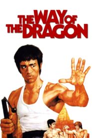 The Way of the Dragon (1972) Hindi Dubbed