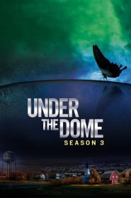 Under the Dome: Season 3 Hindi/English