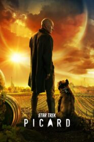 Star Trek: Picard (2020-2023) Season 01-03 – Hindi/English – Full Series Download & Watch FREE – MRBOBD.COM