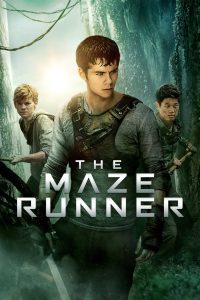 The Maze Runner (2014) Hindi + English – Full Movie Download & Watch FREE – MRBOBD.COM