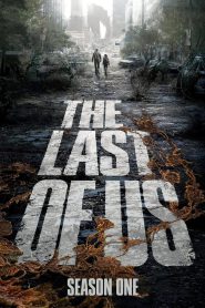 The Last of Us: Season 1 – Hindi/English