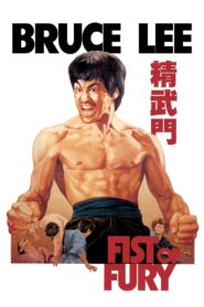 Fist of Fury (1972) Hindi Dubbed