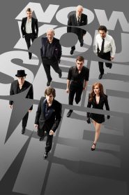 Now You See Me (2013) Dual Audio Hindi + English – Full Movie Download & Watch FREE – MRBOBD.COM