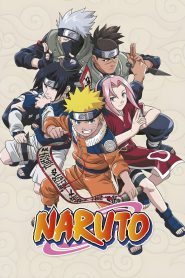 Naruto (2002) Season 01 – Episode: 01-26 – Hindi/Japanese – Watch Only