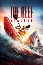 The Reef: Stalked (2022) – Full Movie Download & Watch FREE – MRBOBD.COM