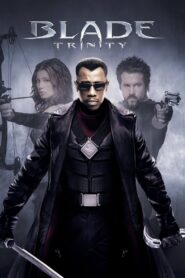 Blade: Trinity (2004) Blade 3 Hindi + English – Full Movie Download & Watch FREE – MRBOBD.COM